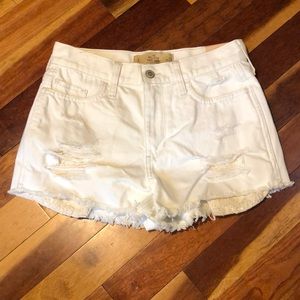 Hollister Shorts